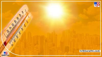 Nagpur Temperature | नागपुरात उष्णतेची लाट येणार; मनपाचा हिट ॲक्शन प्लान तयार, विसाव्यासाठी बगीचे 24 तास सुरू