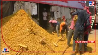 Positive News : हळद ही शेतीमालच, कायदेशीर मान्यतेनंतर हळद मार्केटमध्ये नेमका बदल काय?