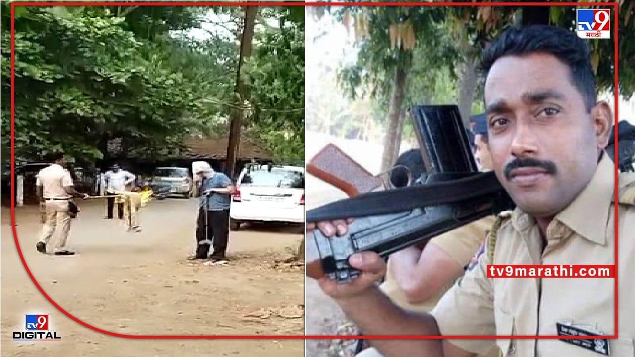 Raigad VIDEO | वृद्धावर मधमाशांचा हल्ला, पोलिसाची चतुराई, फडकं सॅनिटायझरने पेटवून बचाव