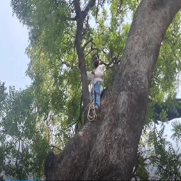 यवतमाळमध्ये रस्त्यावर असलेल्या झाडांना तोडण्या मागणी अनेक दिवसापासून केली जात आहे. पण त्या मागणीची अद्याप कोणी दखल घेतलेली नाही.