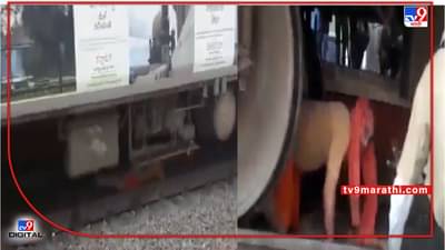 Nashik VIDEO | चालत्या गाडीखाली साधू महाराज सापडले, बघ्यांच्या काळजाचा ठोका चुकला, पण नंतर...