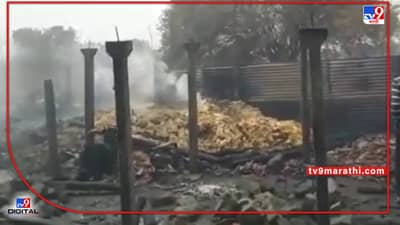 Nanded : नांदेडमध्ये जनावरांचे सहा गोठे आगीच्या भक्ष्यस्थानी, शेतकऱ्यांच्या काळजाचं पाणी-पाणी, आता रोजीरोटीचा प्रश्न