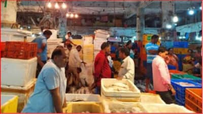 मुंबईत उष्णतेची लाट, वाढत्या उन्हाचा माशे विक्रेत्यांना फटका; शासनाकडे मदतीची मागणी