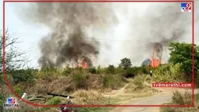 Nashik : तोडणीला आलेला ऊस आगीच्या भक्ष्यस्थानी, कारखान्याची टाळाटाळ अन् महावितरणच्या मनमानीचा शिकार ठरतोय शेतकरी