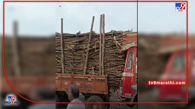 Solapur Accident | ऊस नेणारा ट्रॅक्टर मागे घसरला, ट्रकच्या केबिनमध्ये घुसून चक्काचूर, सोलापुरात भीषण अपघात