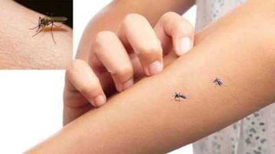 डासांमुळे वैताग आलाय? ‘या’ घरगुती उपायांनी करा स्वत:ची सुटका