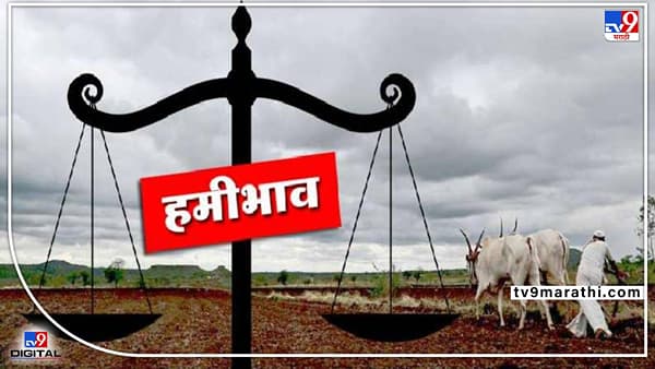 Kisan Morcha : लढा हमीभावाचा, देशभर जनजागृती, संयुक्त किसान मार्चा संघटनेचे धोरण काय ?