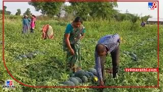 स्वातंत्र्याच्या अमृत महोत्सवानिमित्त नाशिकमध्ये ऑनलाइन रोजगार मेळावा; कसे व्हाल सहभागी?