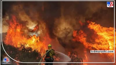 National Fire Service Day : राष्ट्रीय अग्निसेवा दिनाचा इतिहास अन् महत्व, अग्निसुरक्षा सप्ताहातून होते जनजागृती