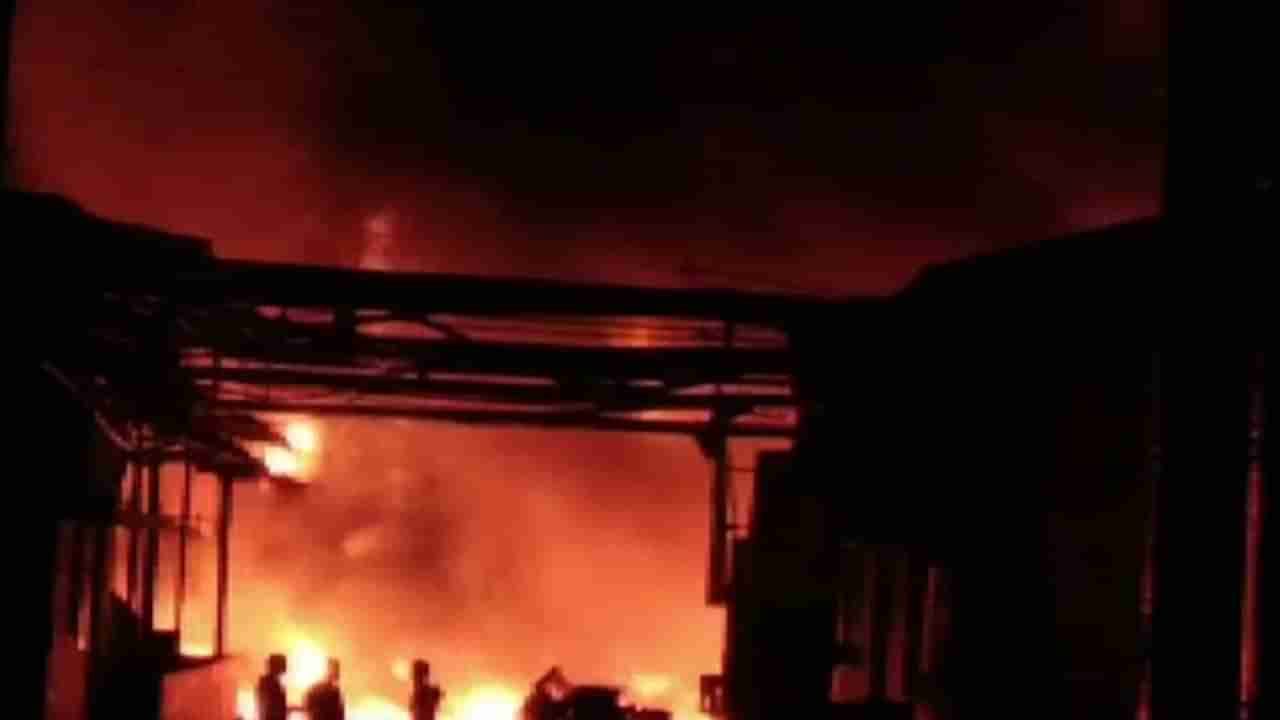 आंध्र प्रदेशातील फार्मा युनिटला लागलेल्या आगीत 6 जणांचा मृत्यू, 12 जखमी
