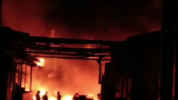 आंध्र प्रदेशातील फार्मा युनिटला लागलेल्या आगीत 6 जणांचा मृत्यू, 12 जखमी