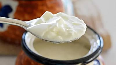 Curd : उन्हाळ्यात दह्याचा आहारामध्ये समावेश करा आणि केस, त्वचा, आरोग्य चांगले मिळवा!