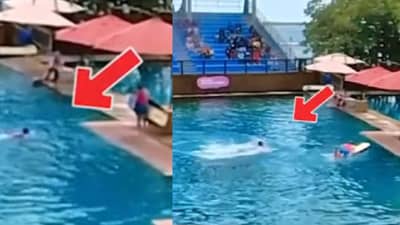 Video : डॉल्फिनचा ट्रेनरवर हल्ला, काळजाचा थरकाप उडवणारा व्हीडिओ