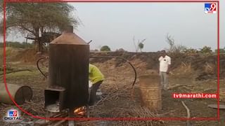 Summer Season: उन्हाळ्यात फळबागांचे योग्य व्यवस्थापन केले तरच उत्पादन भर, लिंबूवर्गीय फळबागांचे ‘असे’ करा नियोजन!