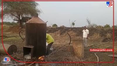 Turmeric Crop: वाढत्या उन्हाचा असा हा परिणाम, हळद काढणी दिवसा अन् रात्रीतून प्रक्रिया