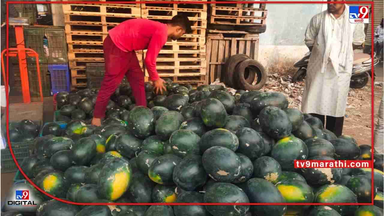 Watermelon : कलिंगडला विकेल ते पिकेल अभियानाचा आधार, शेतकऱ्यांनी कसा घ्यायचा लाभ? वाचा सविस्तर