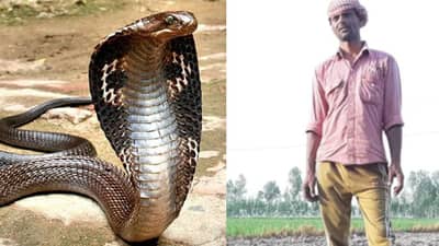 Nagin Real Stories : चाहे तेरे पिछे पडे जग छोडना, त्यानं नागाला संपवलं, नागिनीनं बदला घेतला, एक नाही, दोन नाही, सात वेळा डसली