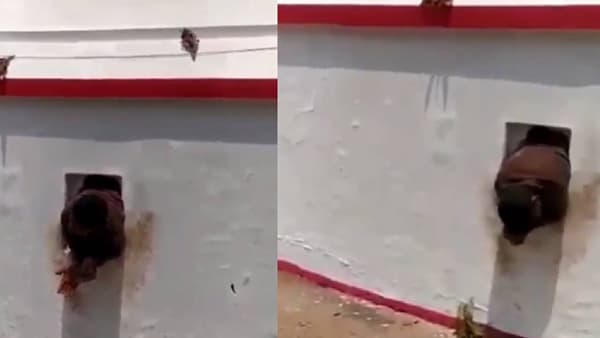 Video : मंदिरात चोरी करायला गेला आणि खिडकीत अडकला, नेटकरी म्हणतात, “जैसे कर्म तैसे फळ!”