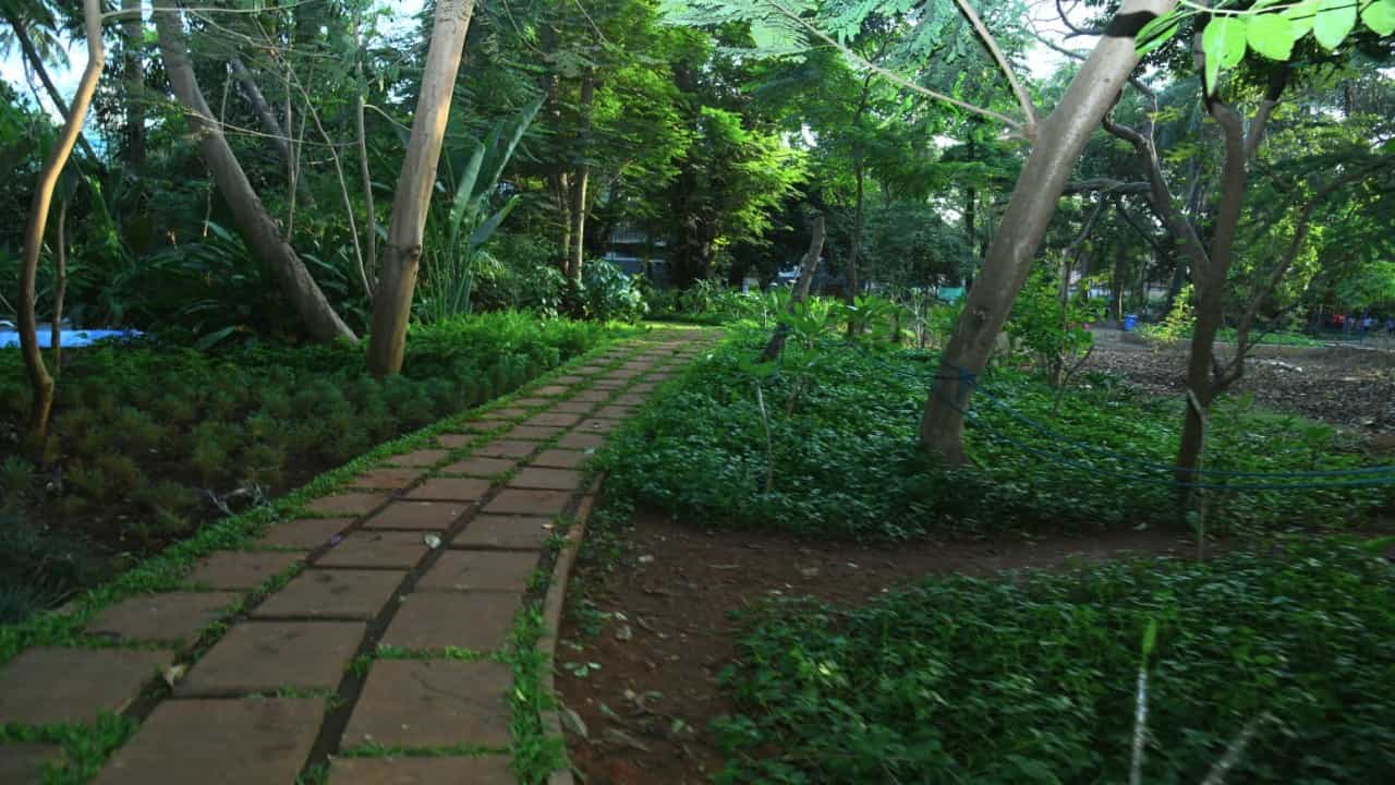 मुंबईचा पारा वाढला; वाढत्या उन्हाचा प्राण्यांना त्रास, वीरमाता जिजाबाई भोसले प्राणिसंग्रहालयातील प्राण्यांची खास व्यवस्था