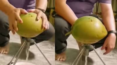 Video : नारळामधून पाणी काढा केवळ दोन सेकंदात!, कसं? पाहा व्हीडिओ...