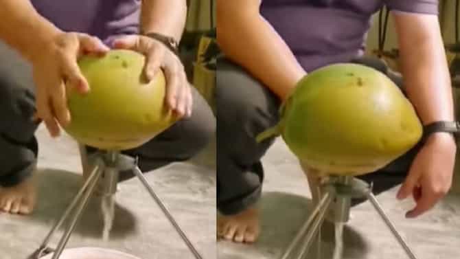 Video : नारळामधून पाणी काढा केवळ दोन सेकंदात!, कसं? पाहा व्हीडिओ...