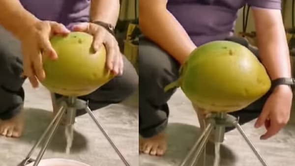 Video : नारळामधून पाणी काढा केवळ दोन सेकंदात!, कसं? पाहा व्हीडिओ...