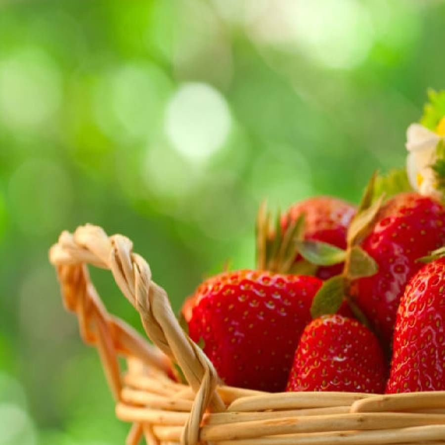तज्ज्ञांच्या मते स्ट्रॉबेरीचे सेवन केल्याने पोटात गॅसची समस्या होत नाही. स्ट्रॉबेरीमध्ये नैसर्गिक साखर असते आणि त्यात असलेले फायबर पचनसंस्था मजबूत करते. दिवसातून एकदा याचे सेवन केल्याने अन्न पचन होण्यास मदत होते.