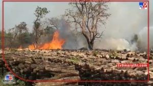 Chandrapur Fire : चंद्रपूरमधील सिंदेवाही येथे वन विभागाच्या लाकूड डेपोला आग, लाखोंचे नुकसान