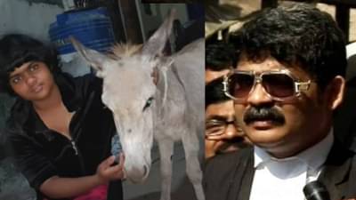 गुणरत्न सदावर्तेंच्या घरी पाळीव गाढव, सदावर्तेंच्या प्रत्येक आनंदात सहभागी होणाऱ्या मॅक्सची गोष्ट