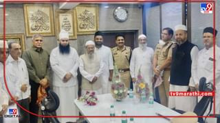 James Lane Controversy: बाबासाहेब पुरंदरेंना डिग्री देताना शरद पवार काय म्हणाले होते? भाजप आमदाराने व्हिडीओच शेअर केला