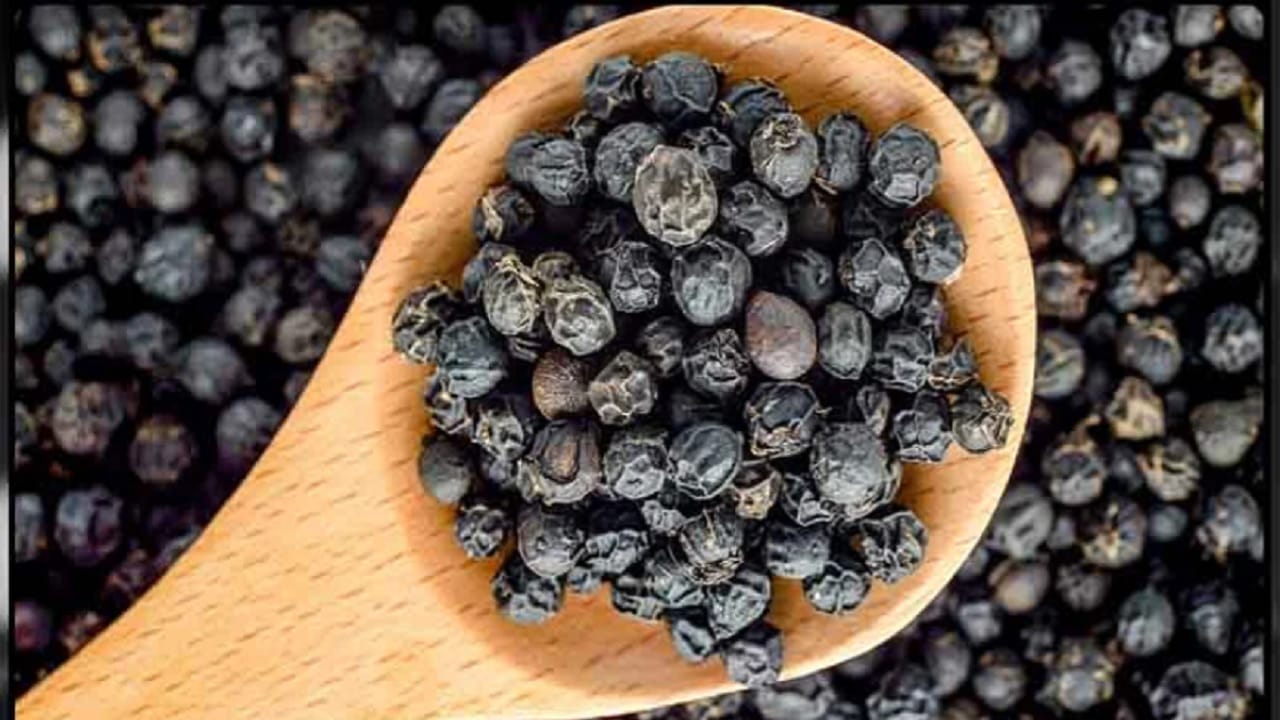 Black pepper काळ्या मिऱ्याचे सेवन आरोग्यासाठी फायदेशीर आहे का? वाचा