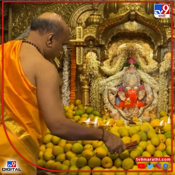 आज ‘अंगारकी चतुर्थी’च्या निमित्ताने प्रभादेवीच्या सिद्धिविनायक मंदिरात गणपती बप्पाला मधूर आंब्याची आरास करण्यात आली आहे. सिद्धिविनायक मंदिरात प्रत्येक चतुर्थी विशेष सजावट करण्यात येते.