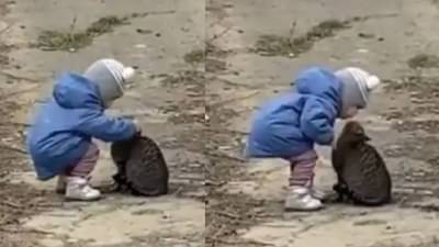 Video : चिमुकल्याचं मांजर प्रेम, व्हीडिओ पाहून म्हणाल, मैत्री असावी तर अशी...!