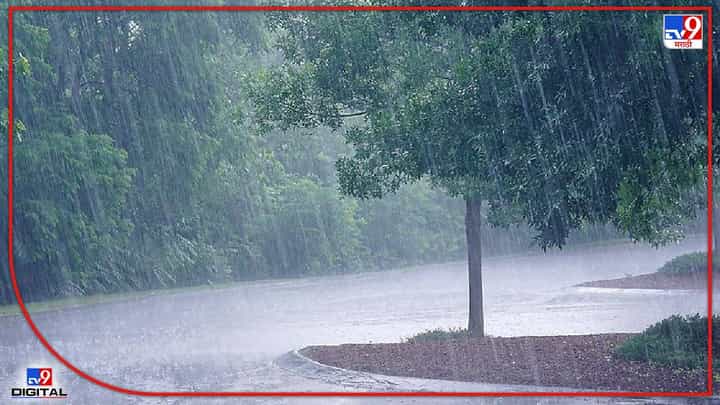 Belgaon Rain : बेळगावात अवकाळी पावसाचा तडाखा, अंगावर झाड कोसळून एकाचा मृत्यू Belgaon Rain : बेळगावात अवकाळी पावसाचा तडाखा, अंगावर झाड कोसळून एकाचा मृत्यू