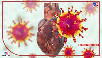 Coronavirus Updates : भारतात 2,593 कोरोनाच्या नव्या केसेस, 27 एप्रिलला पंतप्रधान मोठा निर्णय घेण्याची शक्यता