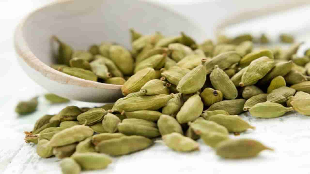 Cardamom | वेलची अनेक आजारांवर रामबाण उपाय आहे, जाणून घ्या त्याचे आरोग्यदायी फायदे!