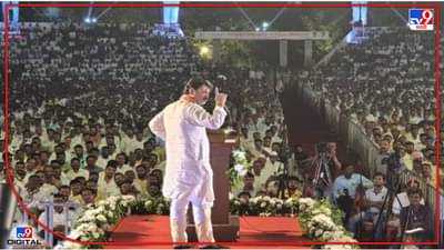 Dhananjay Munde : धनंजय मुंडे म्हणजे राष्ट्रवादीची बॉबी डार्लिंग, मनसे नेत्यांच्या टार्गेटवर मुंडे, अमेय खोपकर म्हणतात, हे तर तात्या विंचू