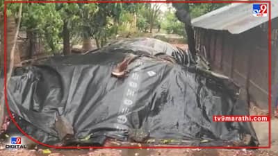 Unseasonable Rain: द्राक्षानंतर कांदा नुकसानीने डोळ्यातील अश्रूंचा बांध फुटला! देवळा तालुक्यातील शेतकरी हवालदिल