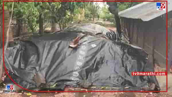 Nashik : पावसाने साधले मृगाचे मुहूर्त, कांदा उत्पादकांचे मात्र नुकसानच