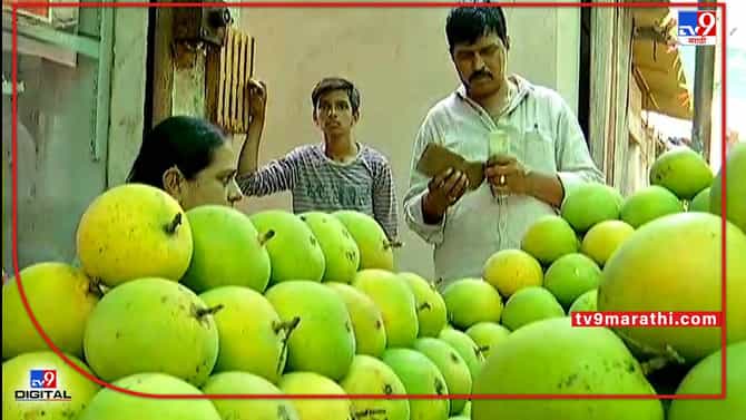 Mango : ज्याची भीती तेच झाले, आंब्याची मागणी वाढली उत्पादन घटलं हे सर्व वातावरणातील बदलाने घडलं..!