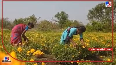 Nanded : बहारों फुल बरसाओ... लग्नसराईनं फुलांचाही रुबाब वाढला, कोरोनानंतर प्रथमच सुगीचे दिवस