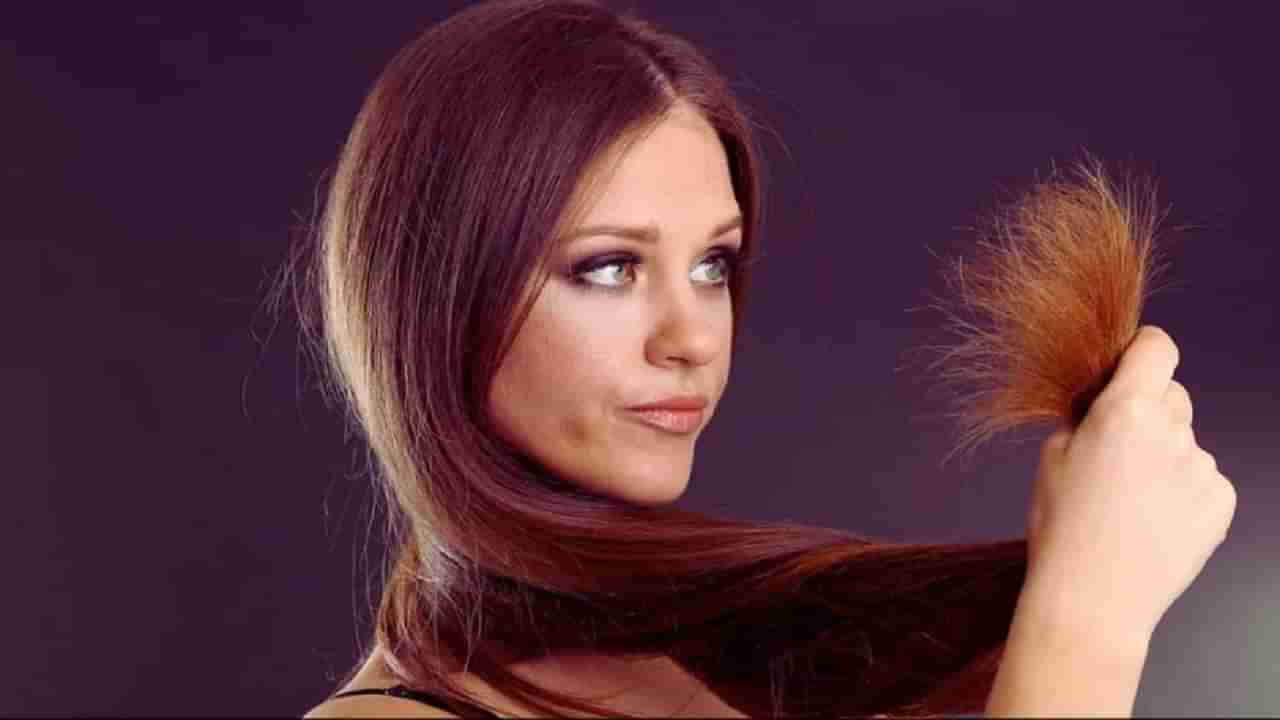 Hair Care | पातळ आणि निर्जीव केसांना निरोगी बनवण्यासाठी या आयुर्वेदिक टिप्स फाॅलो करा!