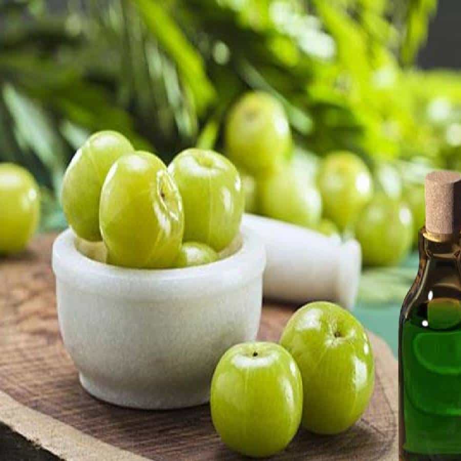 आवळा खाणे आपल्या आरोग्यासाठी खूप जास्त फायदेशीर आहे. आवळ्यामध्ये अँटी-ऑक्सिडेंट, अँटी-कॅन्सर आणि अँटी-इंफ्लेमेटरी गुणधर्म असतात. म्हणूनच तो शरीरासाठी खूप फायदेशीर मानला जातो. या उन्हाळ्यात तुम्ही अनेक प्रकारे आवळ्याचा आपल्या आहारामध्ये समावेश करू शकता.