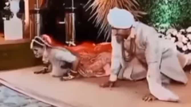 Video : भरमंडपात नवरा-नवरीमध्ये रंगली पुशअप स्पर्धा, नेटकरी म्हणतात, हेच बघायचं राहिलं होतं!