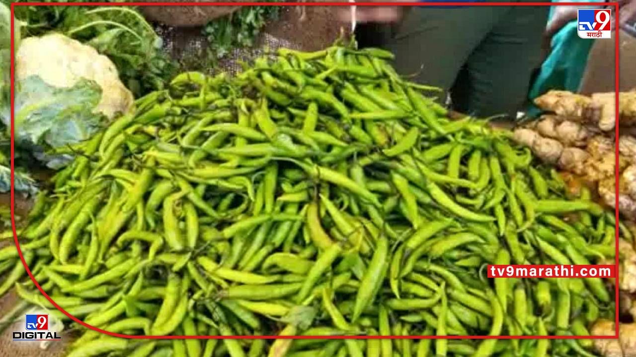 Vegetable Price : पेट्रोल-डिझेलच्या पंगतीमध्ये हिरव्या मिरचीचाही ठसका, लिंबाचा आंबटपणाही कायम..! Vegetable Price : पेट्रोल-डिझेलच्या पंगतीमध्ये हिरव्या मिरचीचाही ठसका, लिंबाचा आंबटपणाही कायम..!