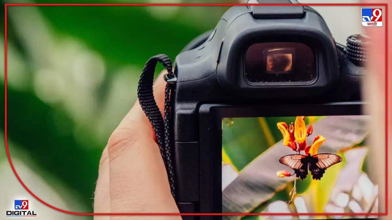 DSLR कॅमेरा: उन्हाळी सुटीत ‘फोटोग्राफी’चा प्लॅन करताय? त्यासाठीचे उत्तम पर्याय स्वस्तातले DSLR कॅमेरे..!