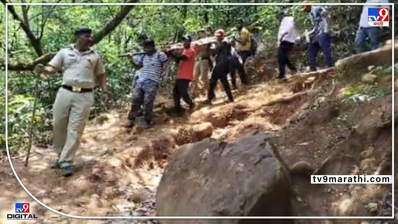 Rajgad Honey bee Attack : राजगडावर पर्यटनासाठी गेलेल्या चौघा जणांवर मधमाशांचा हल्ला, हल्ल्यानंतर पळापळीत महिला दरीत कोसळली