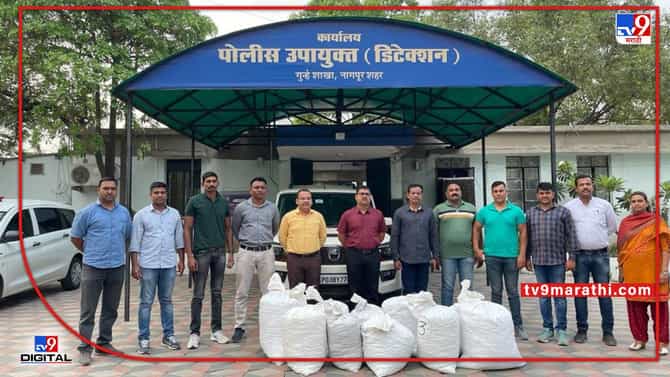 Nagpur Crime | हैदराबादवरून एमपीकडं जाणारा 197 किलो गांजा जप्त, नागपूर गुन्हे शाखेची मोठी कारवाई