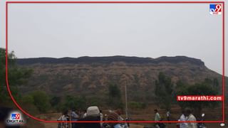 Rajgad Honey bee Attack : राजगडावर पर्यटनासाठी गेलेल्या चौघा जणांवर मधमाशांचा हल्ला, हल्ल्यानंतर पळापळीत महिला दरीत कोसळली