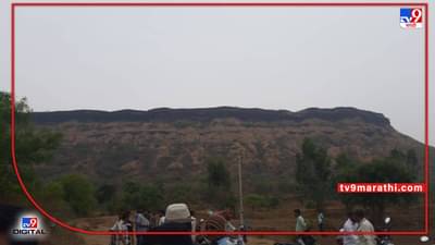 Satara : मधमाशांनी हल्ला केल्यानंतर घाबरलेला युवक दरी कोसळला, शिलोबाच्या डोंगरावर यात्रेसाठी गेला होता